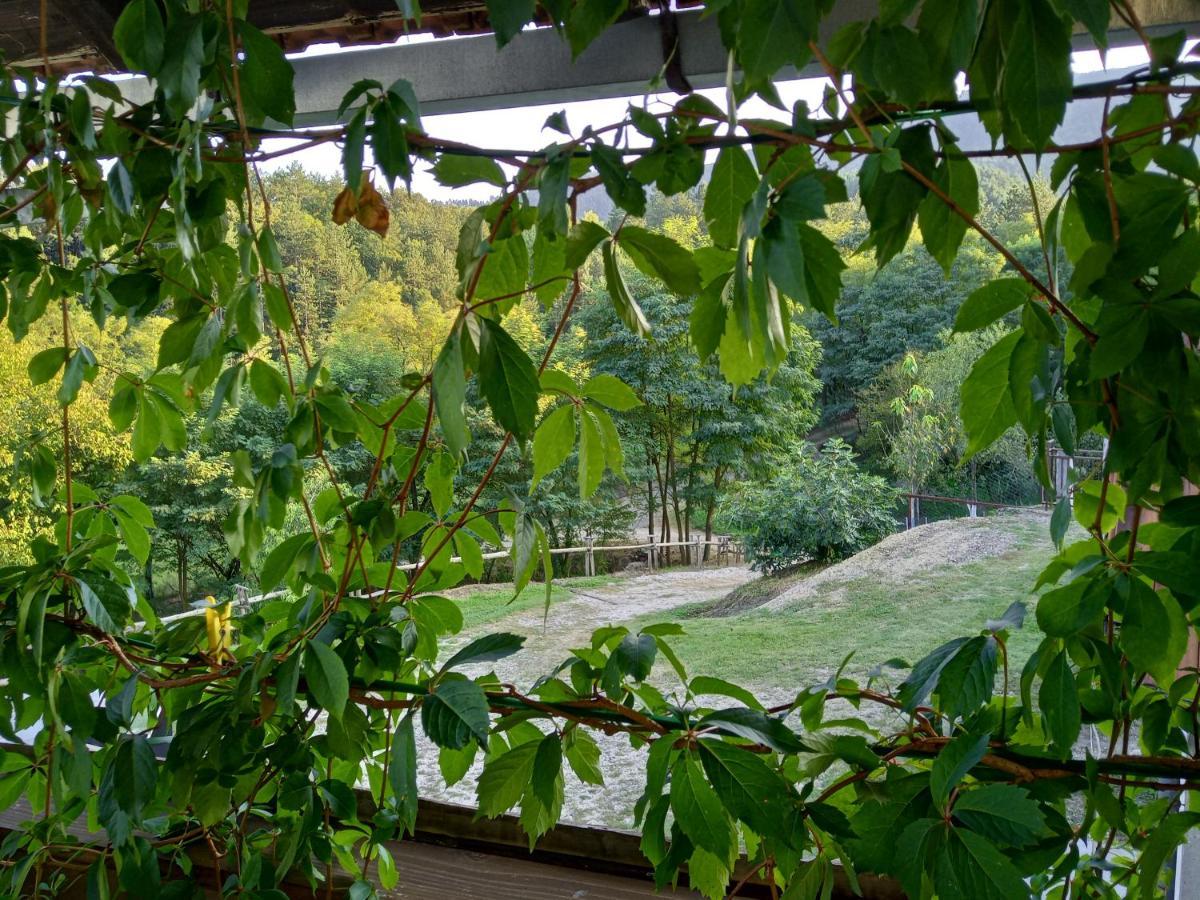 Country House Roman 도보이 외부 사진